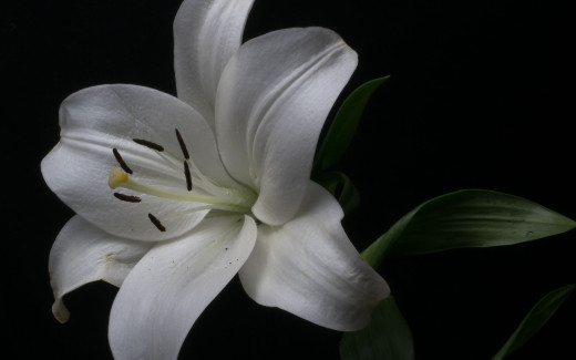 �1763809 �������(a): ����������:2560x1600